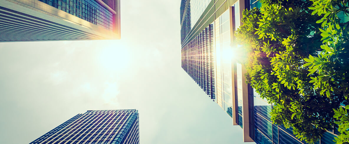 Modern building facade